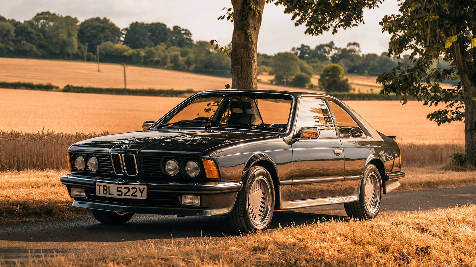 16 rare BMWs for sale this month