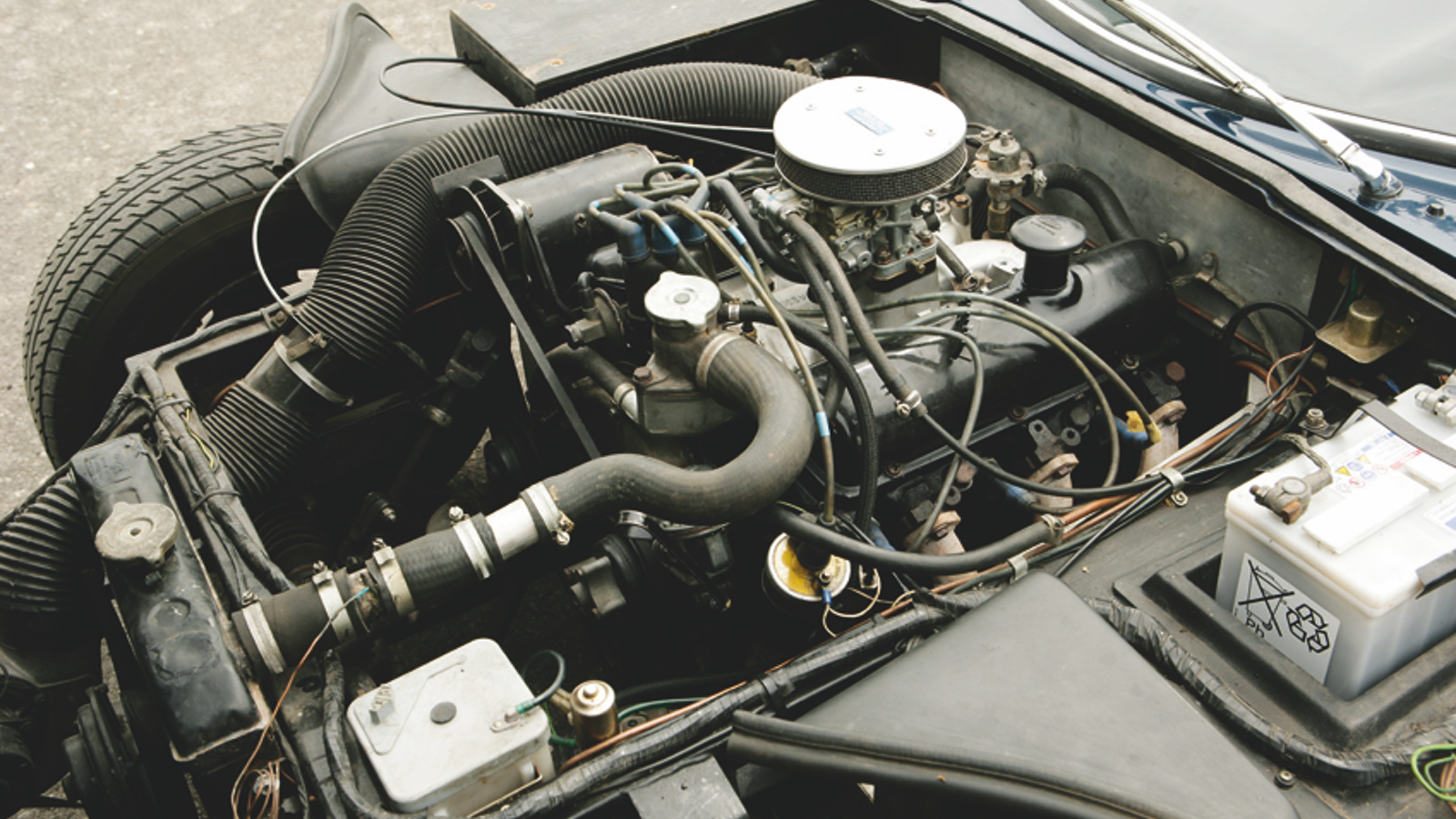 Baby GTs: E-type class for half the cash